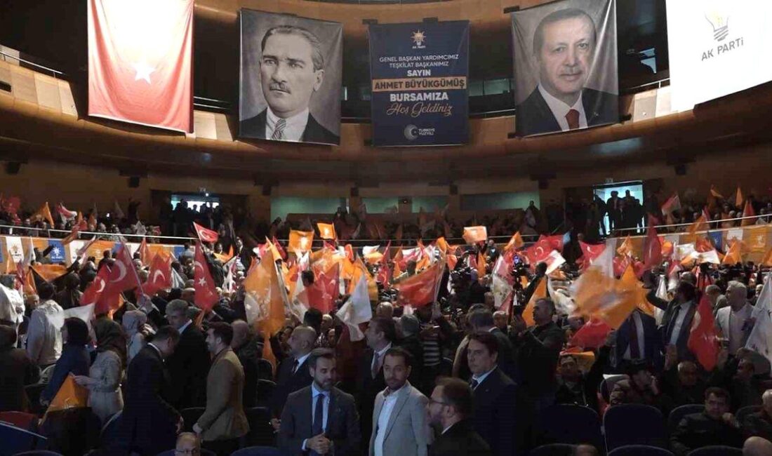 Bursa'da yatırım fırsatları ve hizmet sektöründeki gelişmeler hakkında kapsamlı bilgiler.