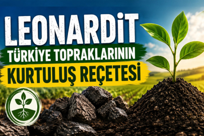 Bursa'da Yeni Girişim Fırtına Gibi Yayılıyor