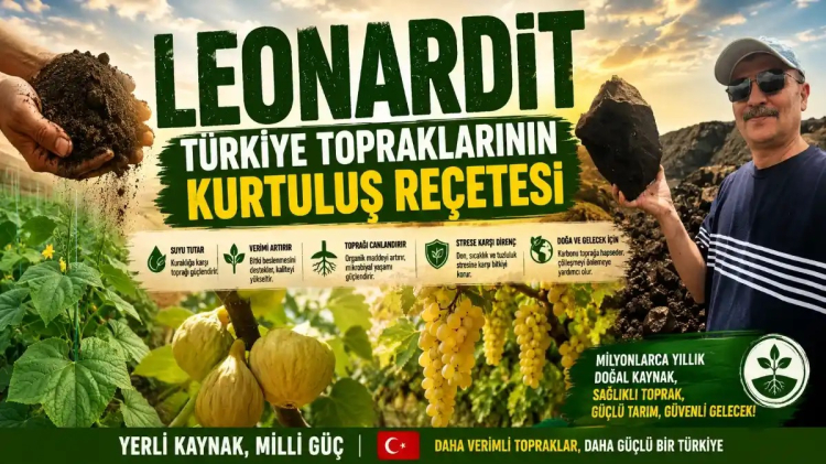 Bursa'da Yeni Girişim Fırtına Gibi Yayılıyor
