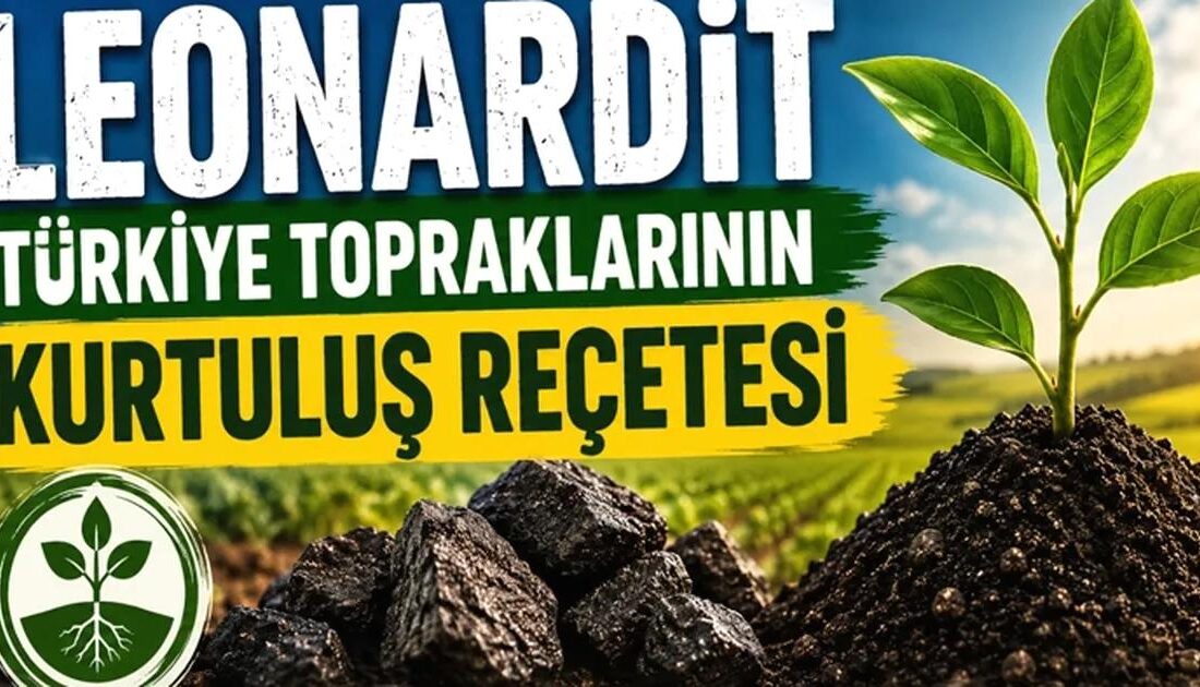 Bursa'da yeni girişimlerin hızlı yayılımını ve ekonomik katkılarını detaylarıyla inceleyen