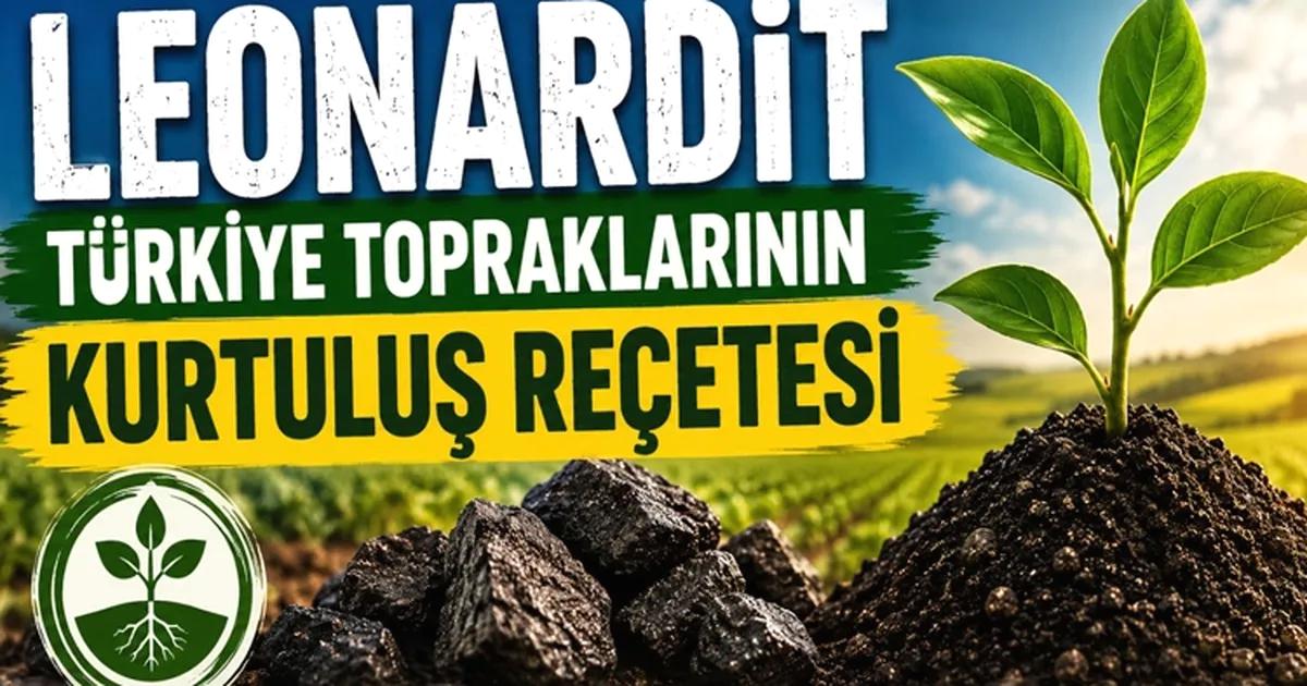 Bursa'da yeni girişimlerin hızlı yayılımını ve ekonomik katkılarını detaylarıyla inceleyen