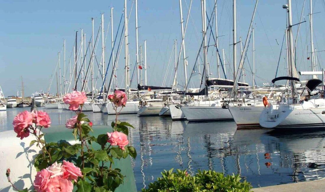 Bursa'da yeni halk plajı hizmete açıldı. Doğayla iç içe, güvenli