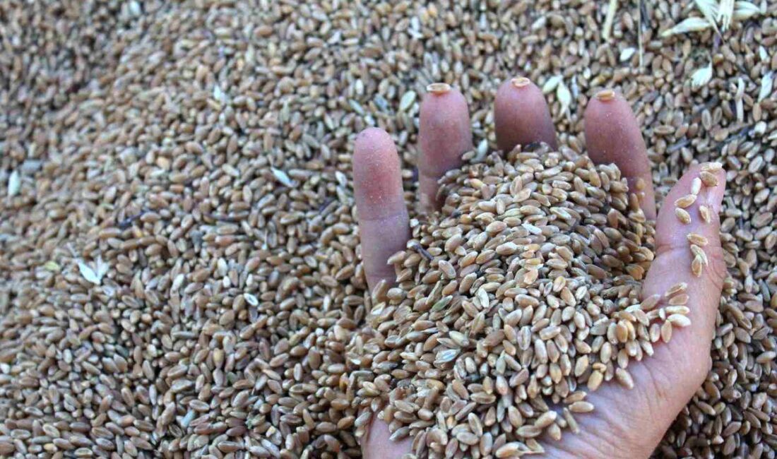 Bursa'da yeni sanayi tesisi açıldı. Bu gelişme, bölgenin ekonomik ve