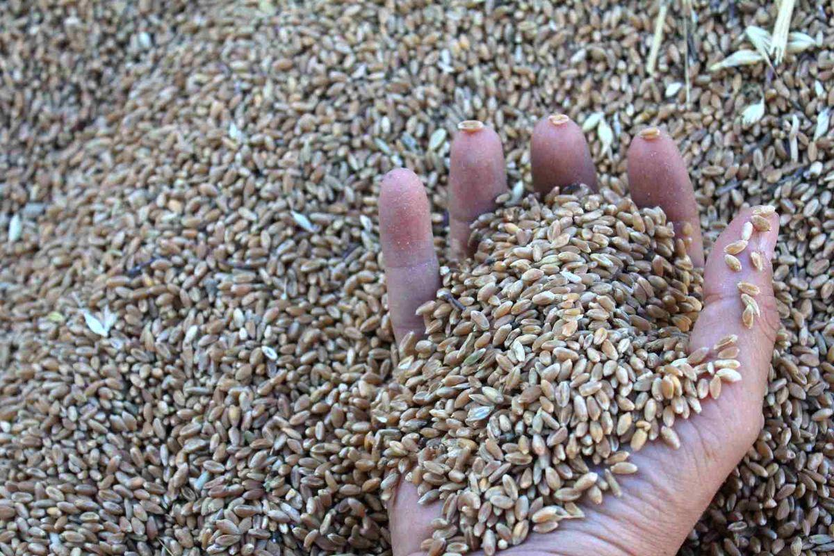Bursa'da yeni sanayi tesisi açıldı. Bu gelişme, bölgenin ekonomik ve