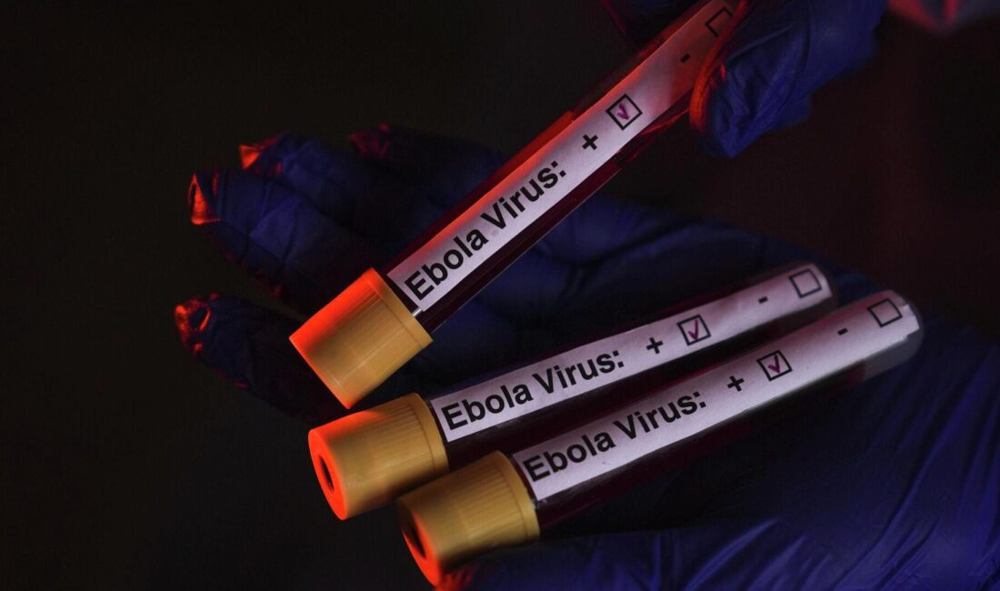 Ebola salgını, doğunun sağlık ve ekonomi yapısını etkiliyor. Güncel gelişmeler