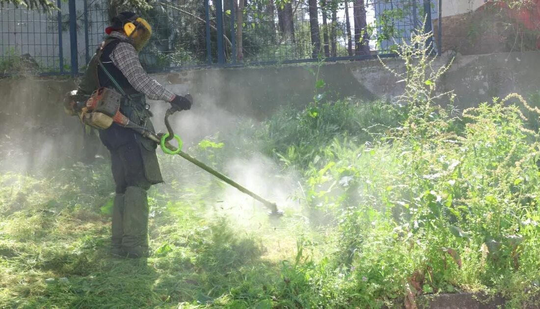 İlçe genelinde yabani ot temizliği çalışmaları hız kesmeden devam ediyor.