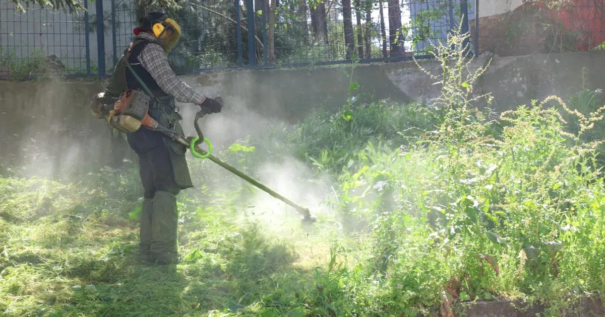 İlçe genelinde yabani ot temizliği çalışmaları hız kesmeden devam ediyor.