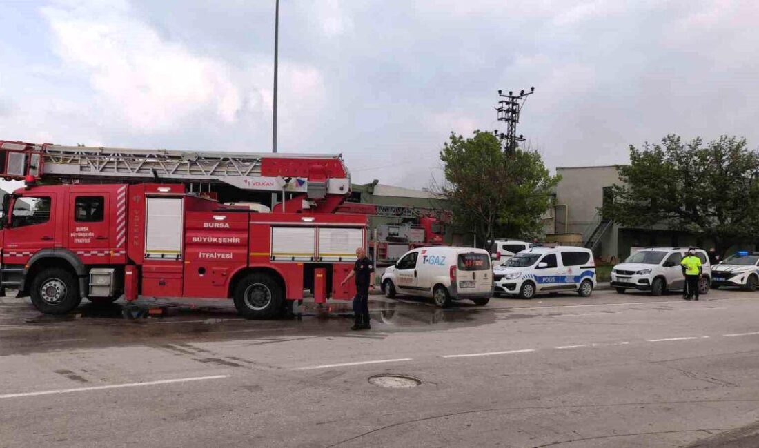 İnegöl'de sunta fabrikasında çıkan yangınla ilgili detaylar, olayın nedeni ve