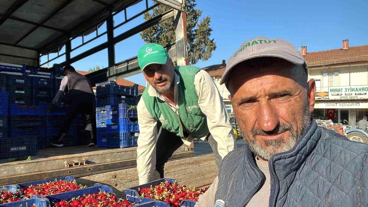 İznik'te mevsimin ilk kiraz hasadı başladı. Bölgede kaliteli kirazların hasat