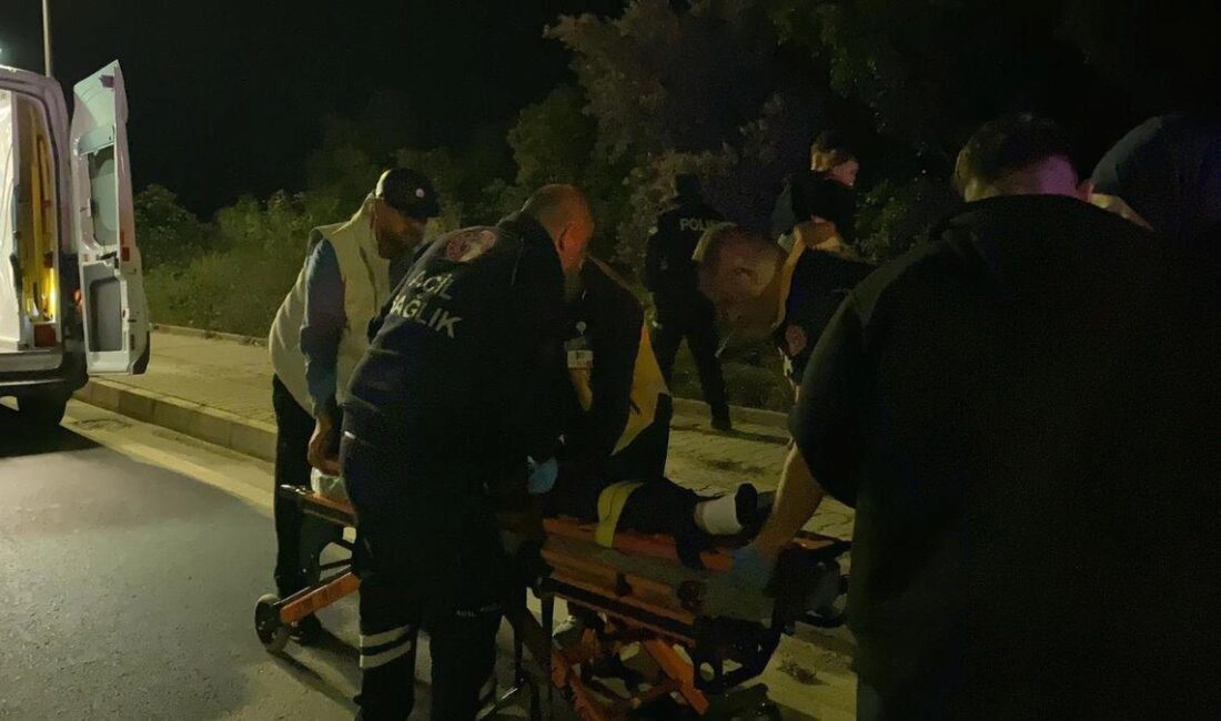 İznik'te meydana gelen kazada, otomobil zeytinliğe uçtu, 4 kişi yaralandı.