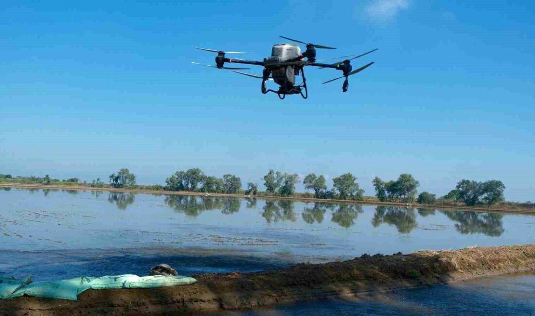 Karacabey'de dron teknolojisi kullanılarak çeltik ekimi hız kazanmış, modern tarım