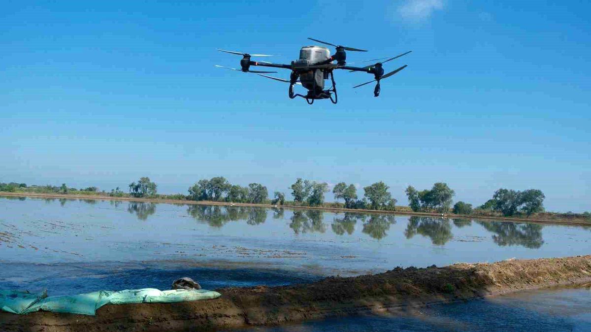 Karacabey'de dron teknolojisi kullanılarak çeltik ekimi hız kazanmış, modern tarım