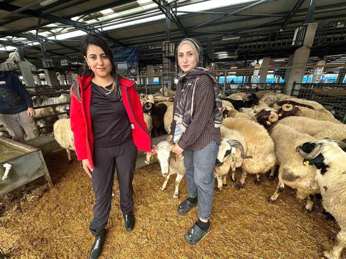 Osmangazi'de dikkat çekici kadın satıcıların faaliyetlerini ve başarı hikayelerini inceleyin.