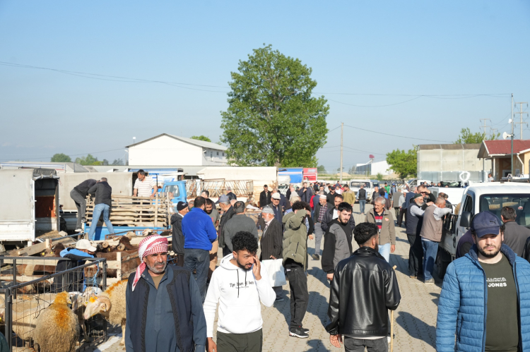 Yenişehir'de Kurban Hazırlıkları Tamamlandı