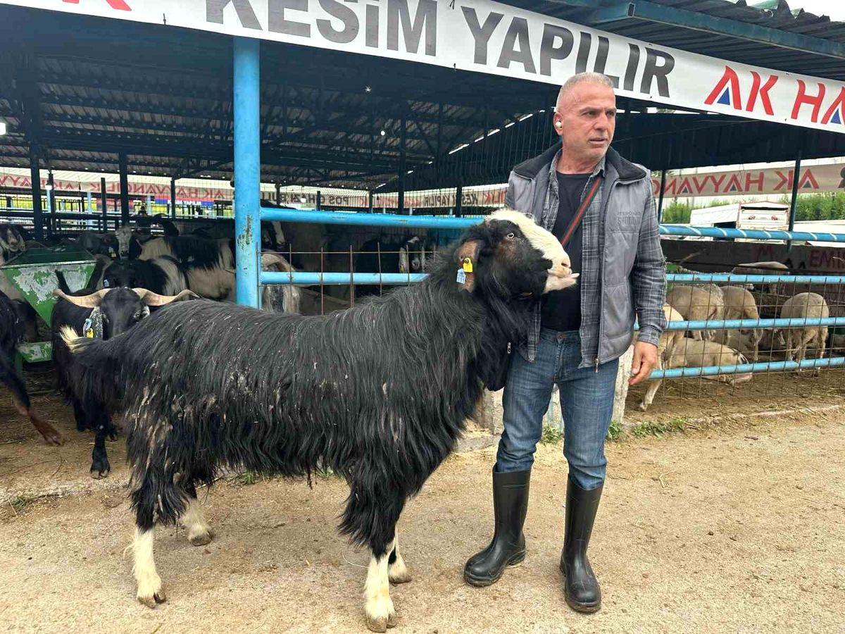 Yıldırım'daki İsabey Kurban Pazarı'nın hareketliliği ve güncel durumu hakkında detaylı