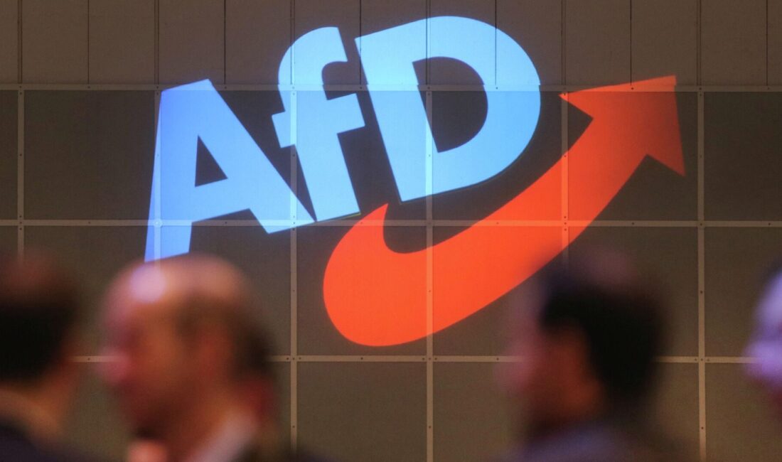 Almanya'da AfD'nin artan etkisi insan onuru ve demokratiyi tehdit ediyor.