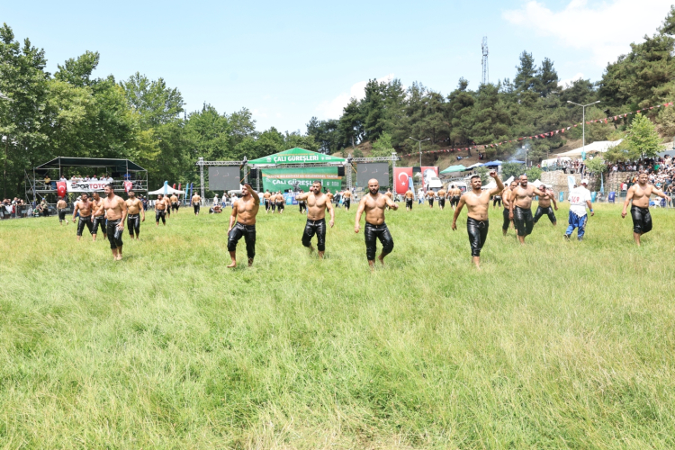 Bursa Çalı Güreşleri Heyecanı Başlıyor