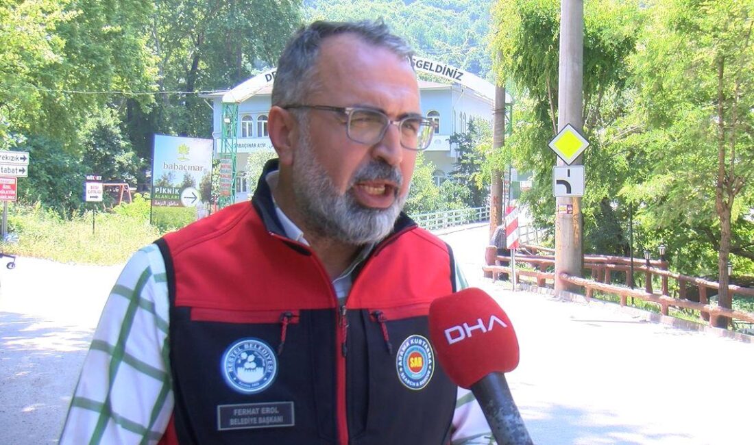 Bursa Kestel'de çilek hasadı başladı. Taze ve lezzetli çileklerimizin tadını