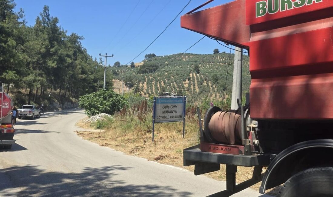 Bursa Mudanya'da çöp yakma yangınına ilişkin detaylar, olayın nedenleri ve