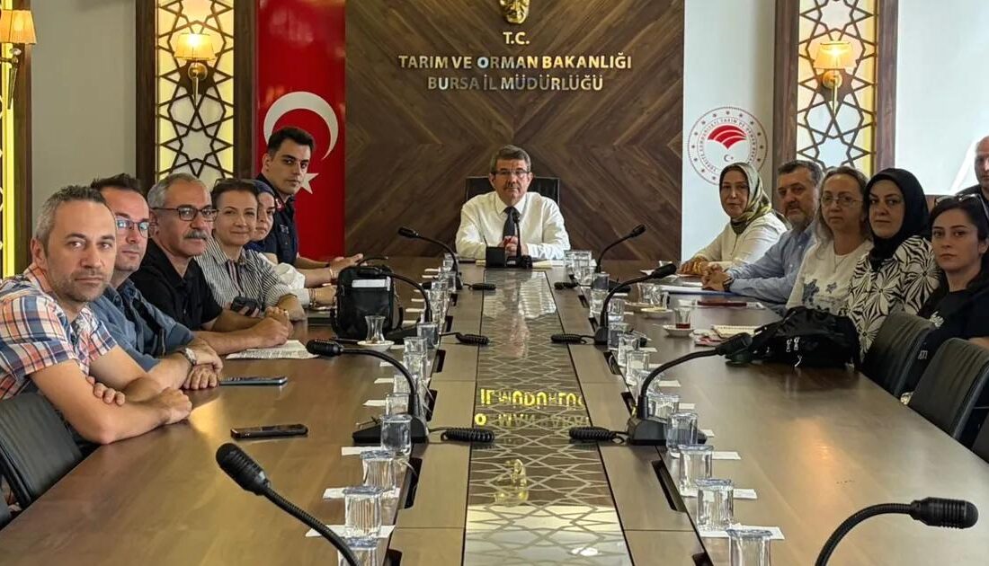 Bursa Siyahı İnciri'nin kalite koruma çalışmaları hakkında detaylı bilgi, sürdürülebilirlik