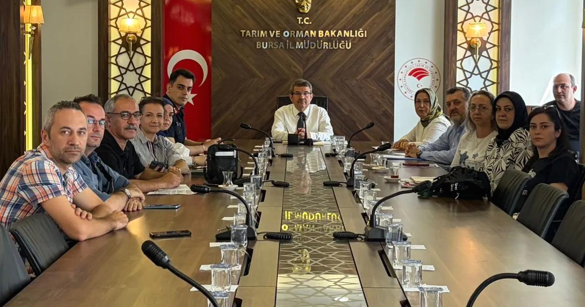 Bursa Siyahı İnciri'nin kalite koruma çalışmaları hakkında detaylı bilgi, sürdürülebilirlik