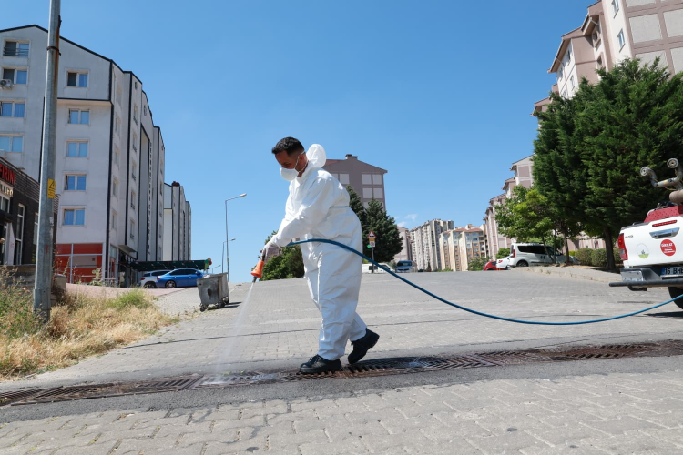 Bursa Yenikent'te haşere mücadelesi