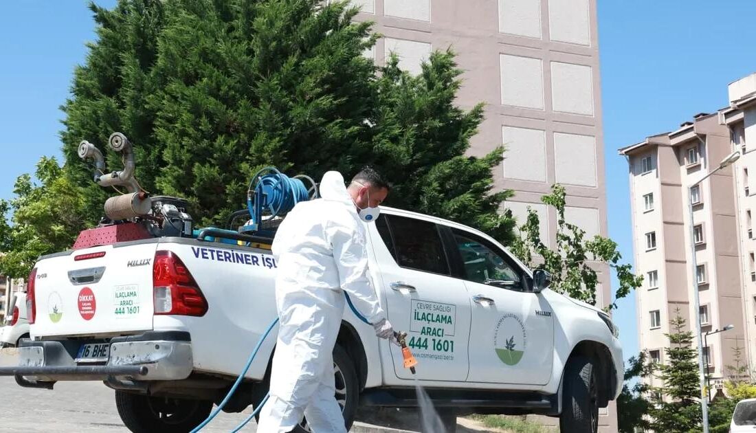 Bursa Yenikent'te etkili haşere mücadele hizmetleri ile sağlıklı ve hijyenik