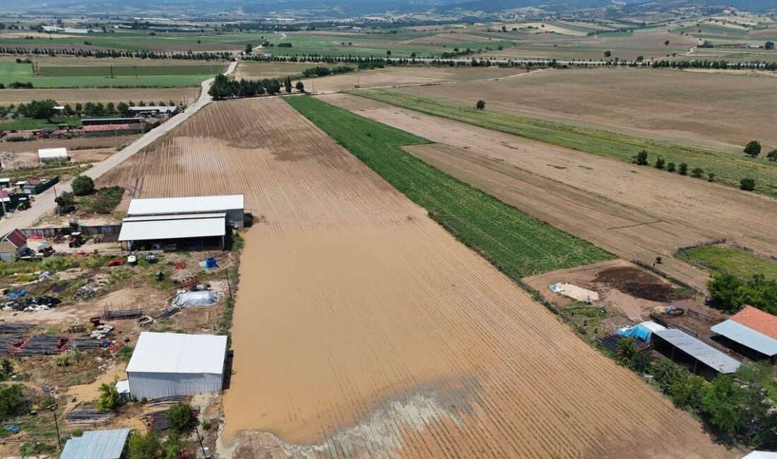 Bursa Yenişehir'de sağanak nedeniyle oluşan felaketin detayları, zararlar ve kurtarma
