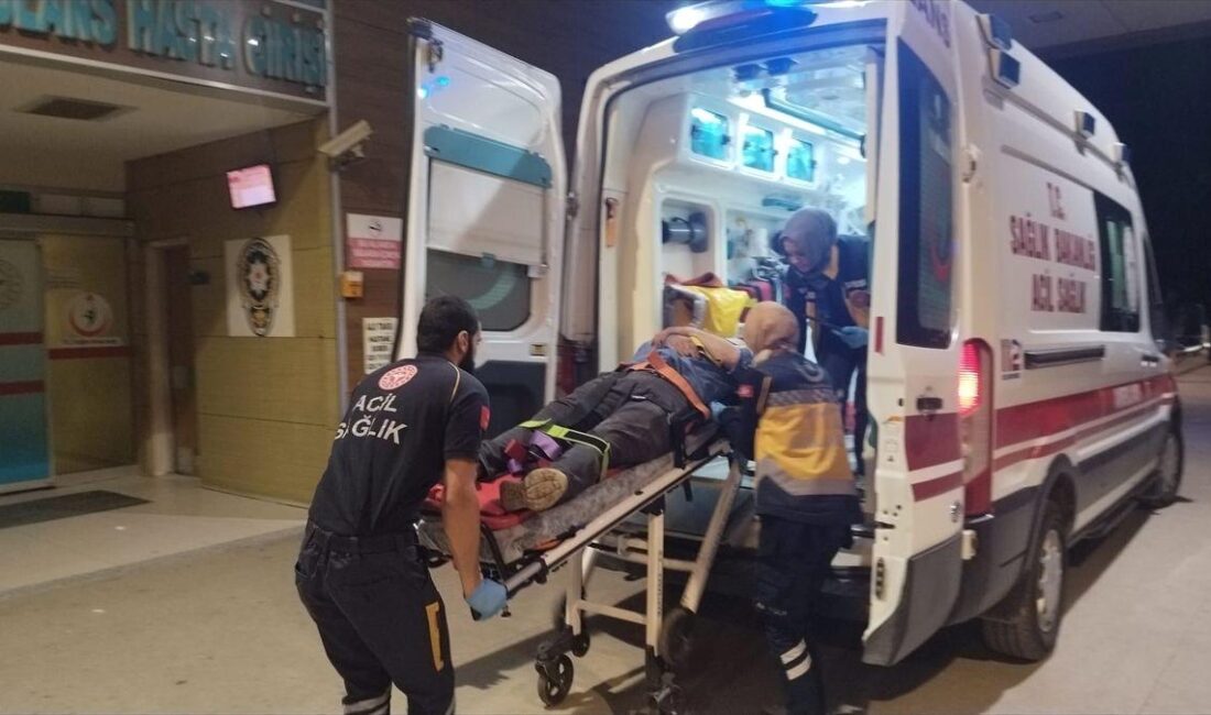 Bursa Yenişehir’de gerçekleşen trafik kazasıyla ilgili detaylar, olayın nedenleri ve