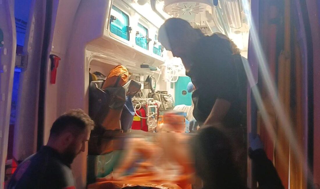 Bursa'da aile içi saldırı dehşetiyle ilgili detaylar, olayın sebepleri ve