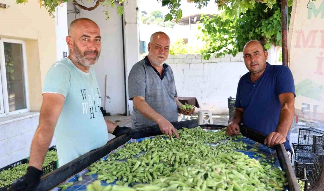 Bursa'da beklenmedik olayda sürücünün kazaya sebep olması detayları ve olası