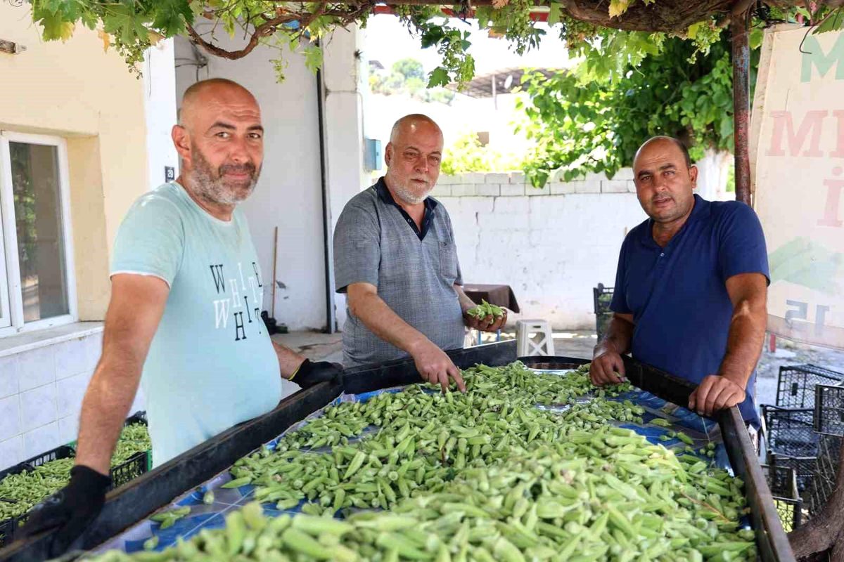 Bursa'da beklenmedik olayda sürücünün kazaya sebep olması detayları ve olası