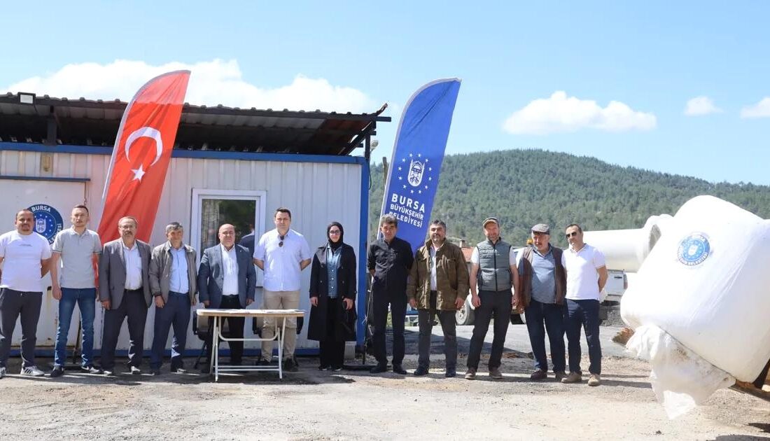 Bursa'da büyükbaş hayvan sahiplerine yönelik yem desteği projesi hakkında detaylı