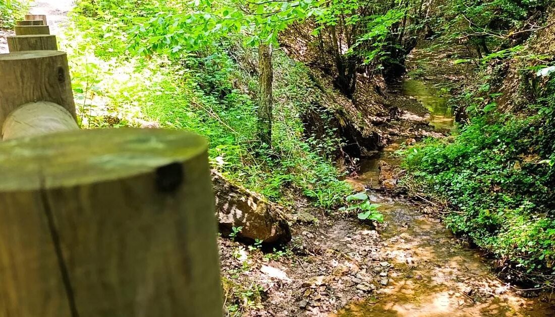 Bursa'da doğa harikası Küçükelmalı Parkı, eşsiz doğal güzellikleri ve huzurlu
