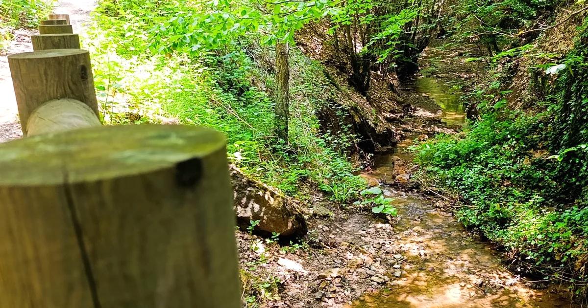 Bursa'da doğa harikası Küçükelmalı Parkı, eşsiz doğal güzellikleri ve huzurlu