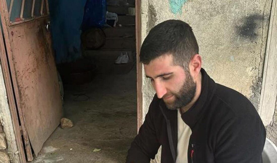 Bursa'da enginar hasadı ve uzman ustaların bilgi ve tecrübeleriyle ilgili