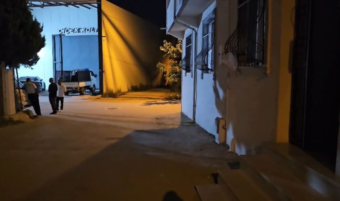 Bursa'da genç kıza yönelik şiddet ve kaçırma girişimi olayıyla ilgili