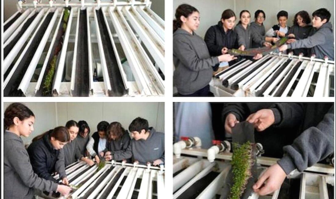 Bursa'da girişimci kadınlar tarafından hayata geçirilen yenilikçi projeler, sürdürülebilir kalkınmayı