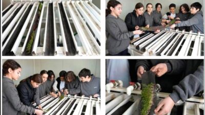 Bursa'da girişimci kadınlar tarafından hayata geçirilen yenilikçi projeler, sürdürülebilir kalkınmayı