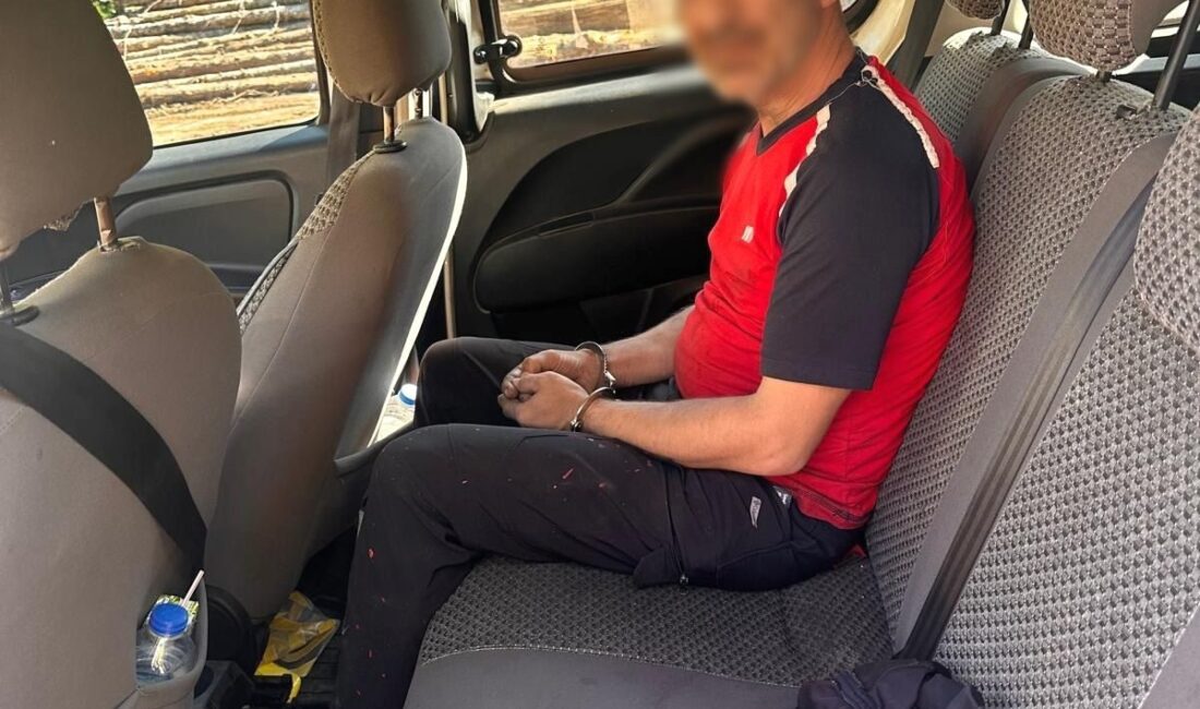 Bursa'da ormanda hırsızlık şüphelisi yakalandı. Emniyet güçlerinin titiz çalışması sonucunda
