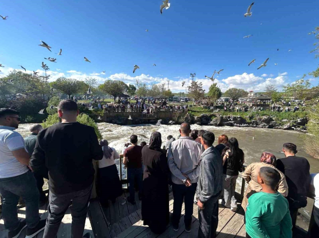Bursa'da İnci Kefali Göçü Coşkusu