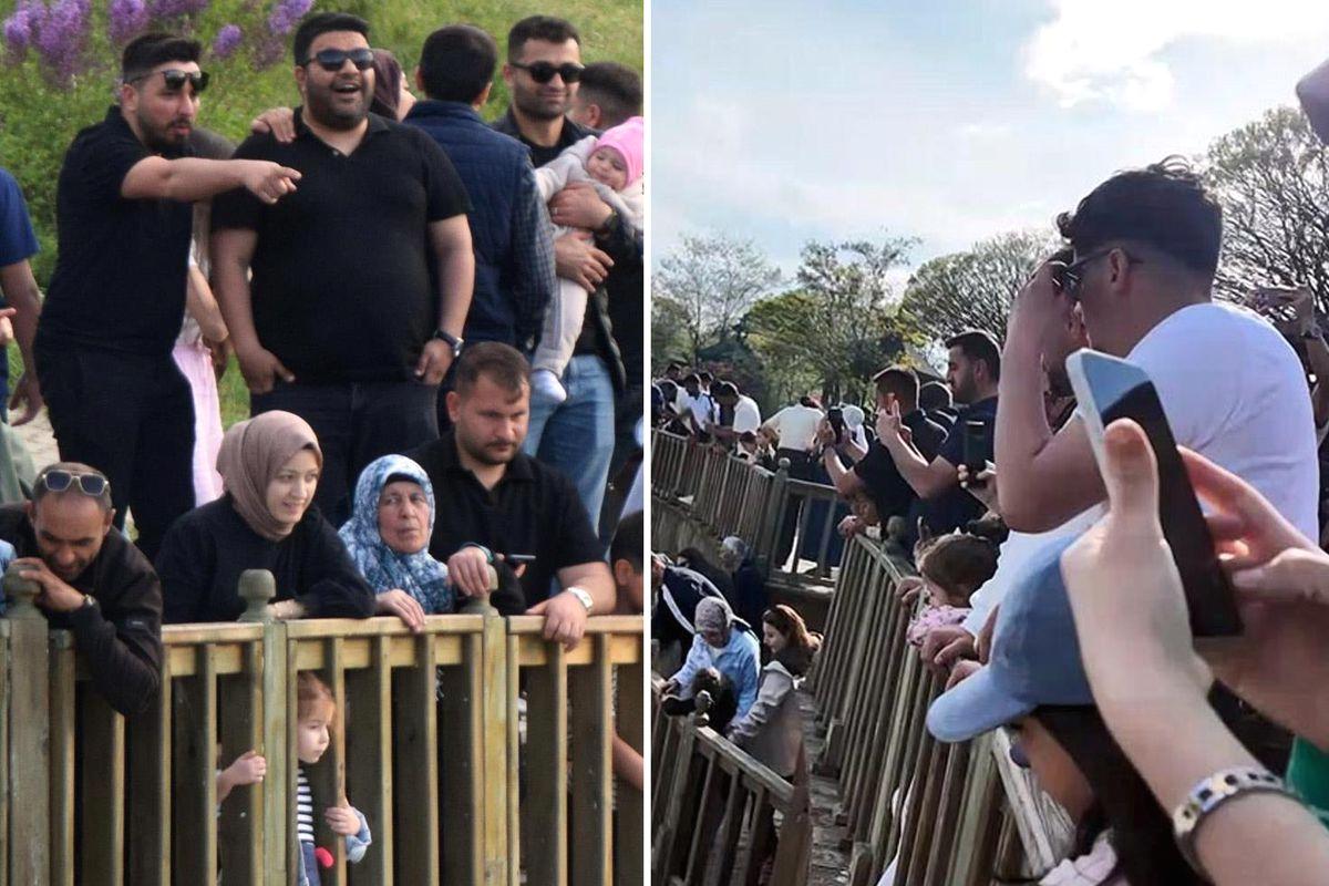 Bursa'da incecik inci kefali göçü heyecanıyla dolup taşan bir doğal