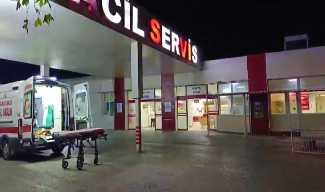 Bursa'da gerçekleşen konserde yaşanan bıçaklı kavga, güvenlik önlemlerinin önemini bir