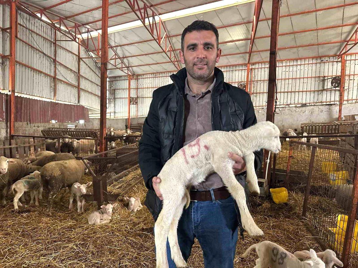 Bursa'da küçükbaş hayvancılıkta başarıya ulaşmak için deneyimli ipuçları ve stratejilerle