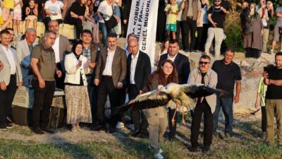 Bursa'da gerçekleşen Leylek Şenliği, geleneksel değerlerin ve doğal güzelliklerin buluştuğu,