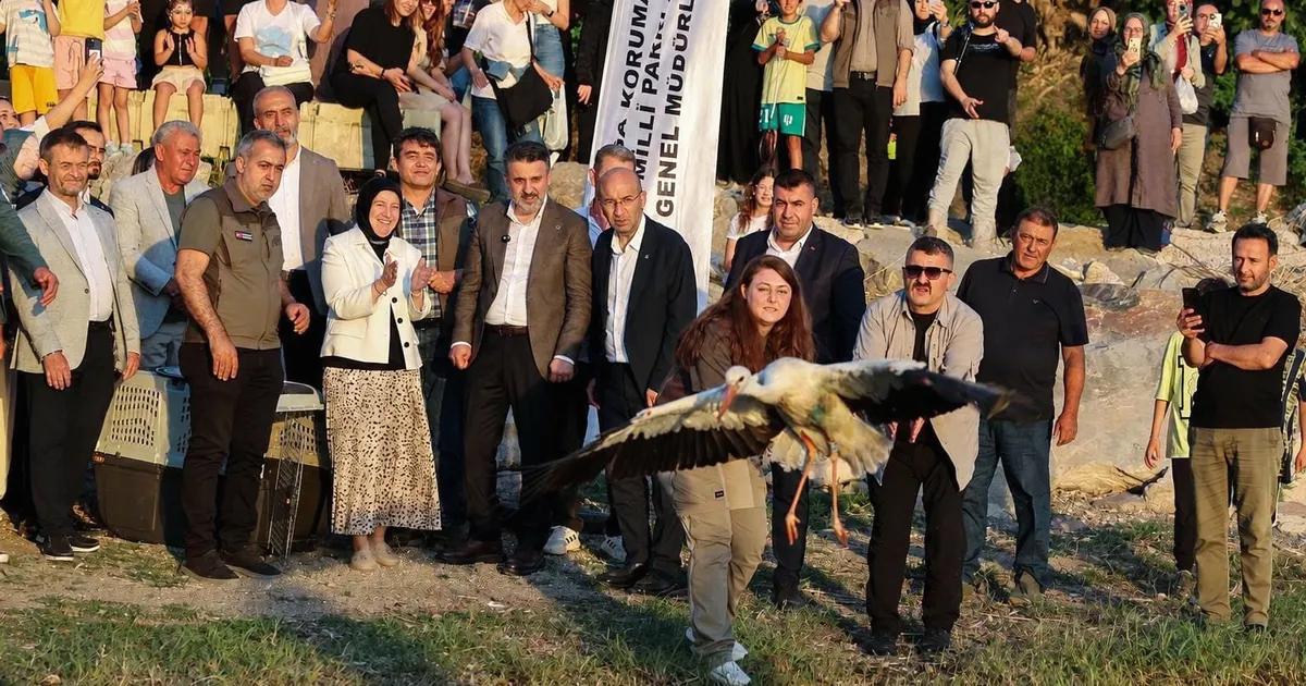 Bursa'da gerçekleşen Leylek Şenliği, geleneksel değerlerin ve doğal güzelliklerin buluştuğu,