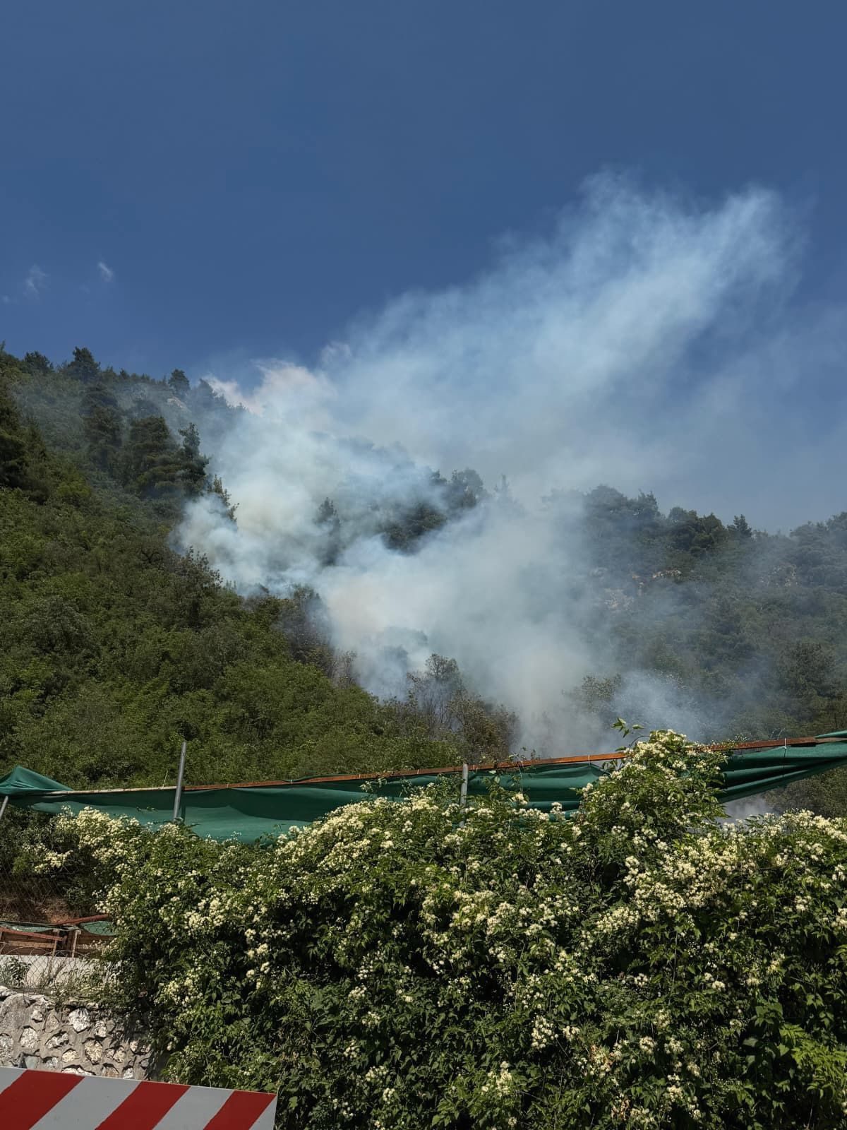 Bursa'da orman ve tarım alanlarında çıkan yangınların nedenleri, etkileri ve