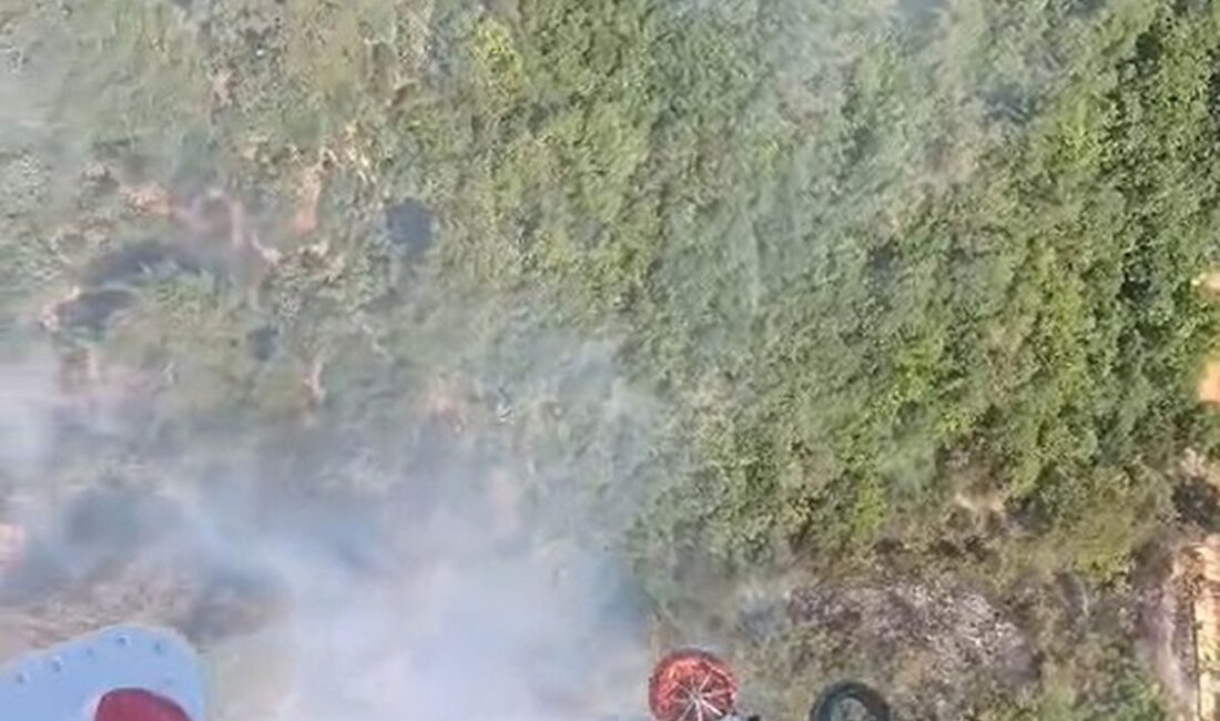 Bursa'da orman yangınlarına hızlı ve etkili müdahale yöntemleri hakkında detaylı