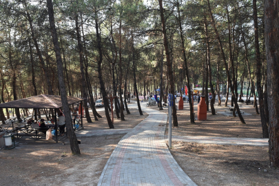 Bursa'da Orman Yangınlarına Karşı Önlemler