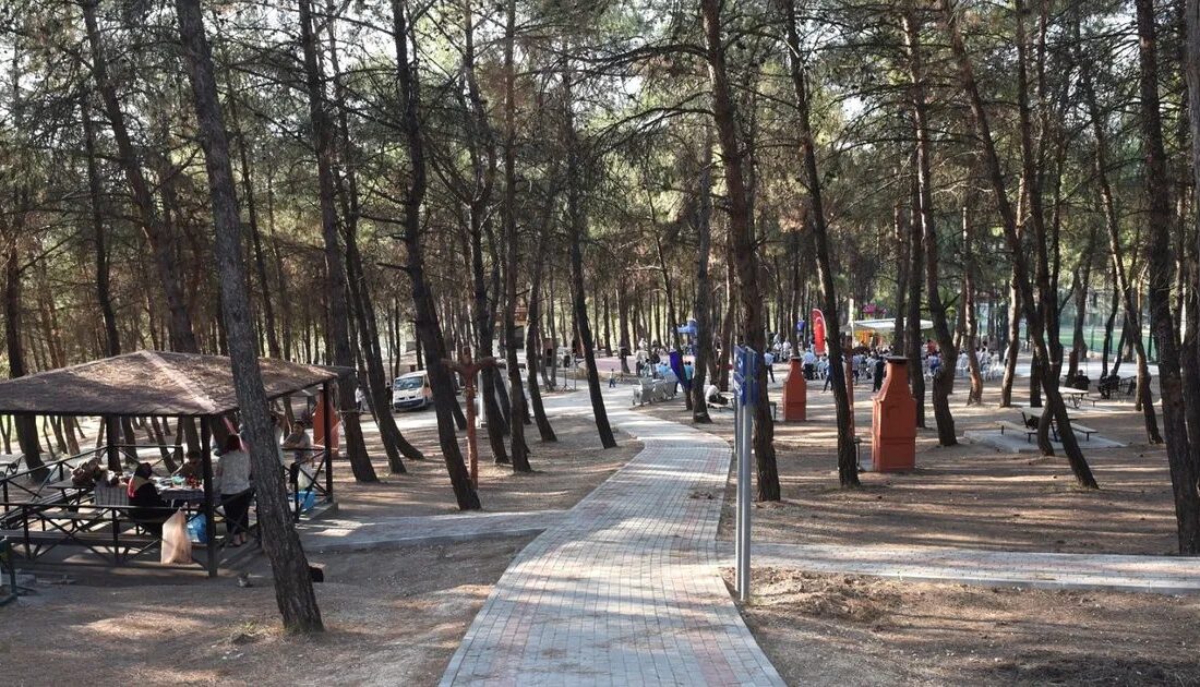 Bursa'da orman yangınlarına karşı alınan önlemler, yangınların önlenmesi ve hızla